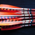 Traditional arrows, wood arrows, cedar arrows, Sitka spruce arrows, Glenn St Charles, Suzanne St Charles